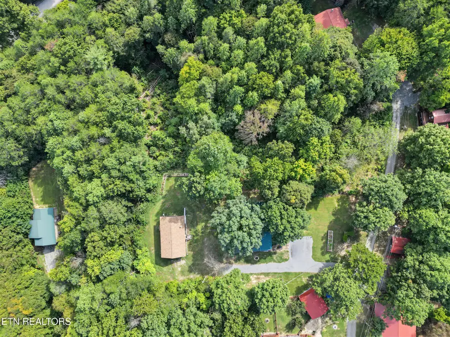 204 Great View Way, Newport, TN 37821 - #3