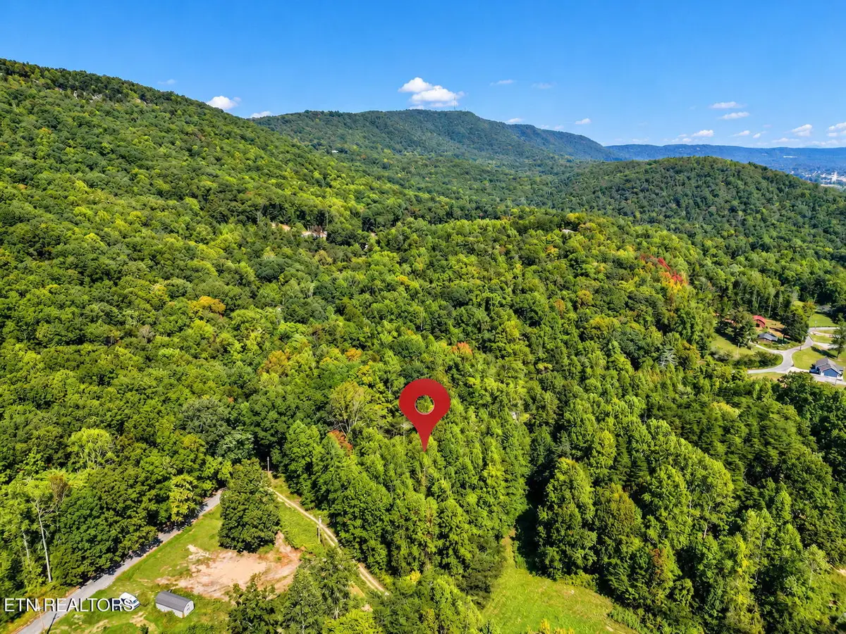 1431 Mountain View Rd, Rockwood, TN 37854 - #1
