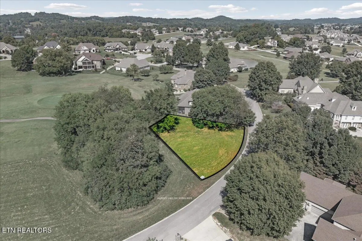 228 Osprey Circle, Vonore, TN 37885 - #1