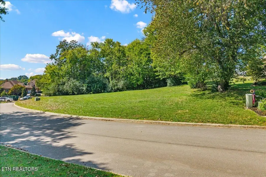228 Osprey Circle, Vonore, TN 37885 - #2