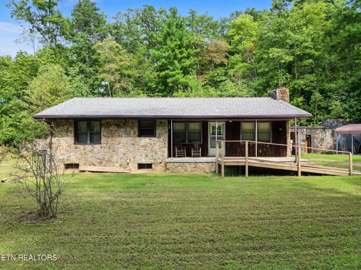 724 Caney Creek Rd, Cosby, TN 37722 - #1