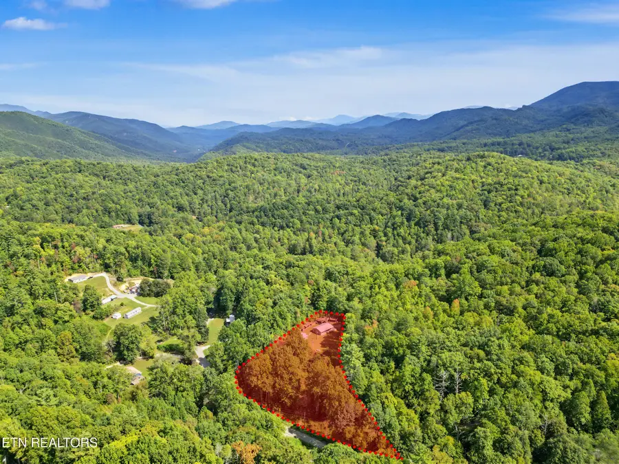 724 Caney Creek Rd, Cosby, TN 37722 - #3