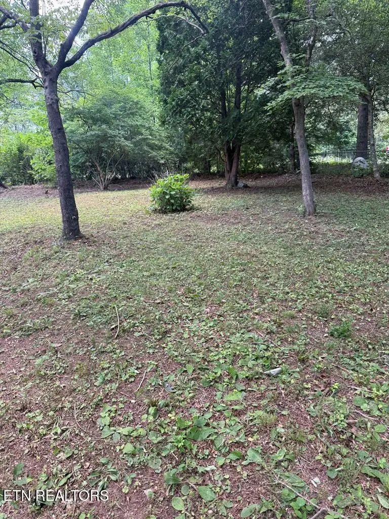 231 Crockett Lake Drive, Crossville, TN 38572 - #2
