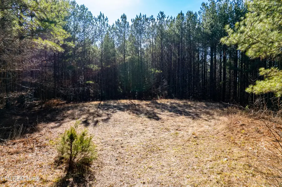 Lower Rockwood Rd Rd, Rockwood, TN 37854 - #3