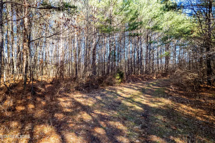 Lower Rockwood Rd Lot 17, Rockwood, TN 37854 - #2