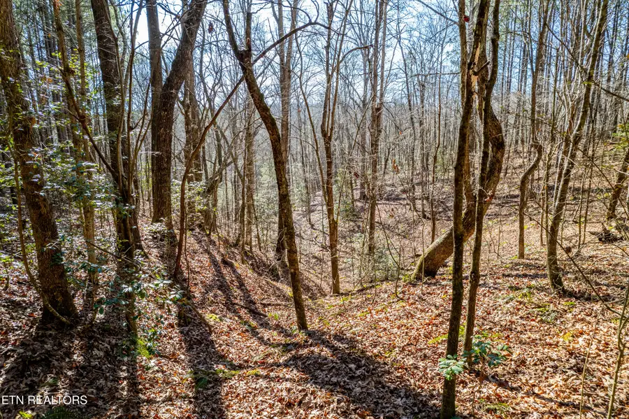 Lower Rockwood Rd Lot 18, Rockwood, TN 37854 - #3