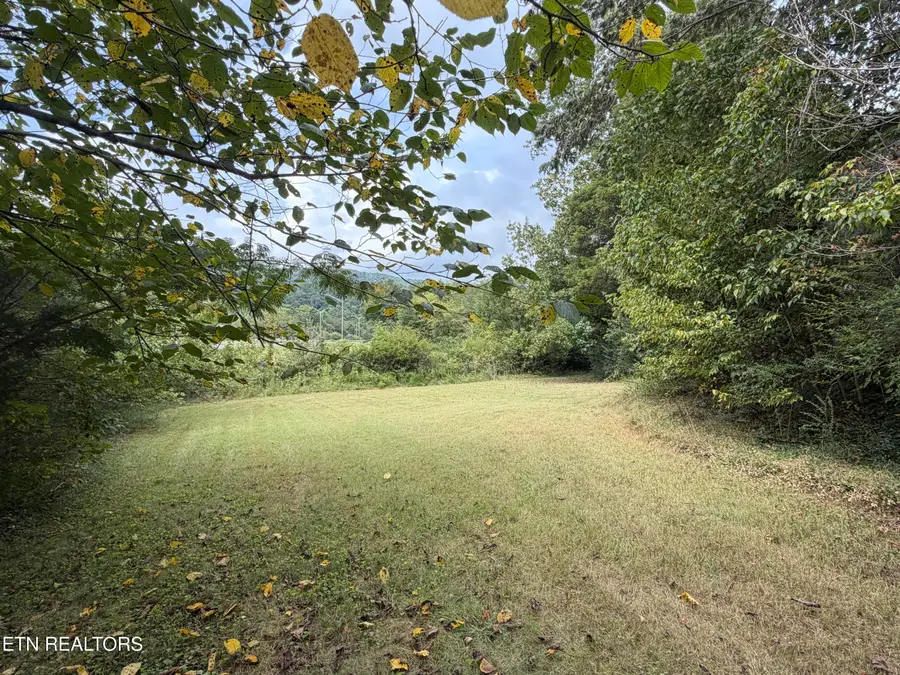 201 Hillcrest Ave, Rocky Top, TN 37769 - #2