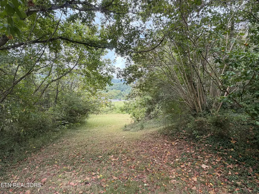 201 Hillcrest Ave, Rocky Top, TN 37769 - #3