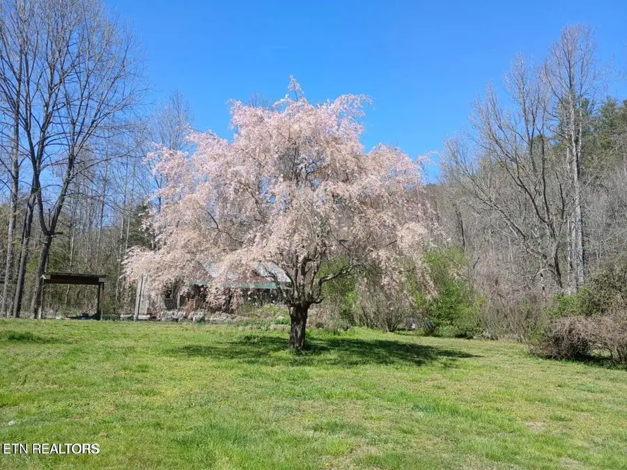 1223 Rocky Flats Rd, Cosby, TN 37722 - #2
