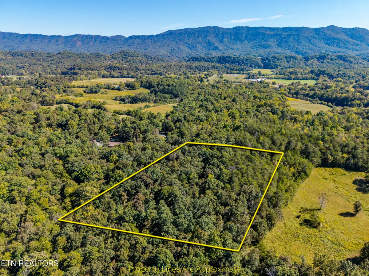 1903 Tree Tops Lane, Seymour, TN 37865 - #1