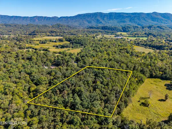 1903 Tree Tops Lane, Seymour, TN 37865