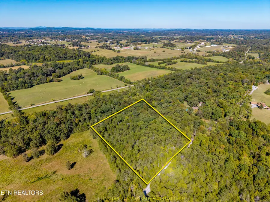 1903 Tree Tops Lane, Seymour, TN 37865 - #2