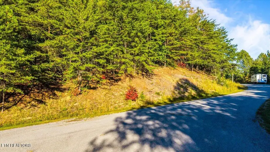 Lot 508 Hidden Springs Rd, New Tazewell, TN 37825 - #2