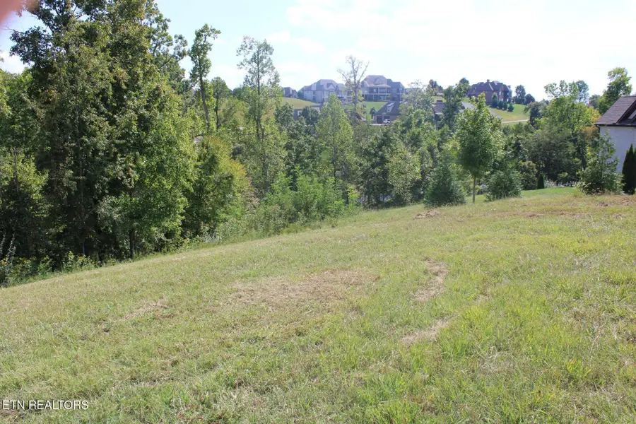 1299 Halyard Rd, Lenoir City, TN 37772 - #3