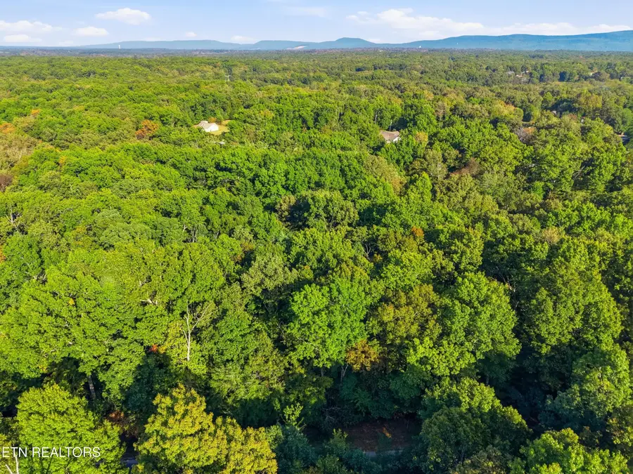 615 Catawba Lane, Crossville, TN 38572 - #3