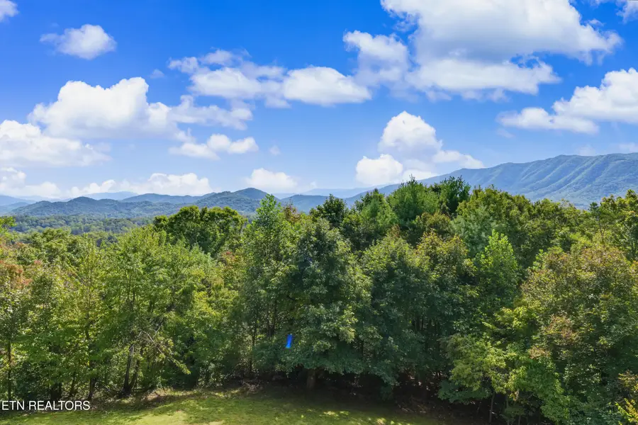 146 Tolliver Trail, Townsend, TN 37882 - #3