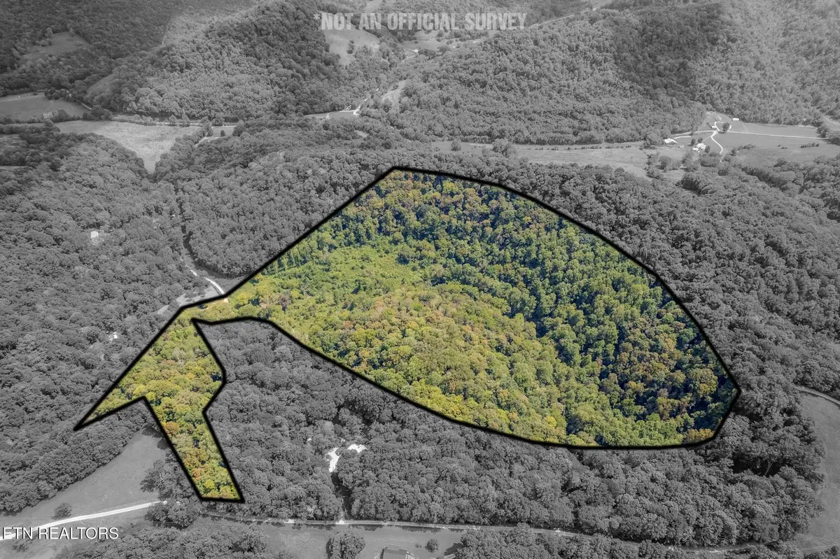 53.19AC Watts Hollow Rd, Buffalo Valley, TN 38548 - #1