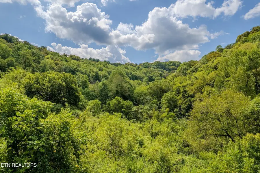 53.19AC Watts Hollow Rd, Buffalo Valley, TN 38548 - #3