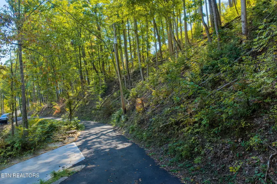 Whipoorwill Hill Way #28, Sevierville, TN 37862 - #3