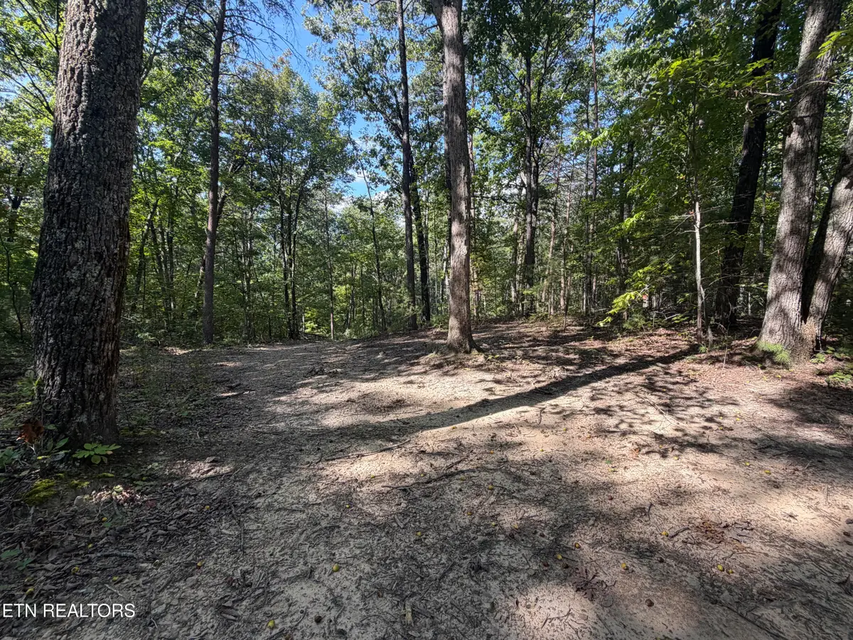 Lot 1 Mecca Pike, Tellico Plains, TN 37385 - #1