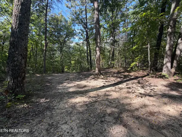 Lot 1 Mecca Pike, Tellico Plains, TN 37385