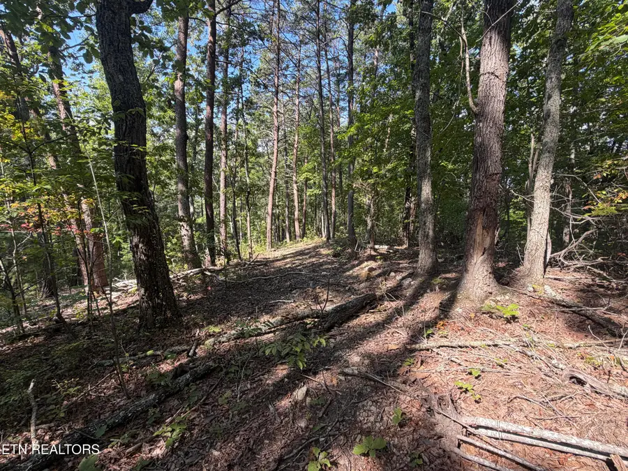 Lot 1 Mecca Pike, Tellico Plains, TN 37385 - #2