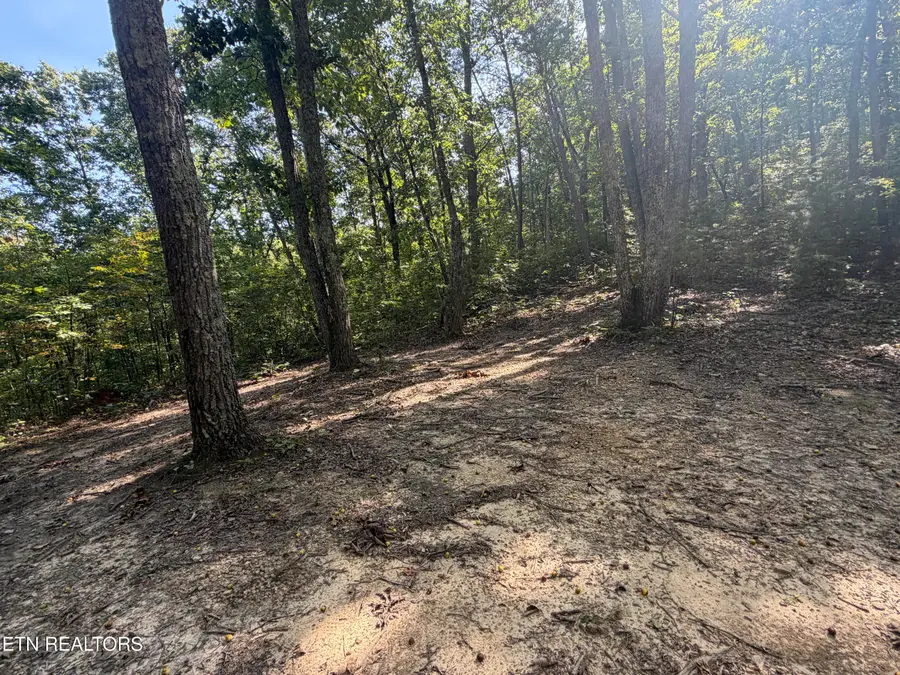 Lot 1 Mecca Pike, Tellico Plains, TN 37385 - #3
