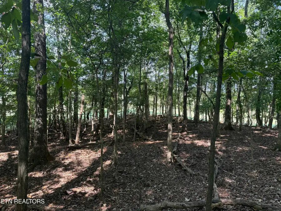 21340 Martel Rd, Lenoir City, TN 37772 - #3