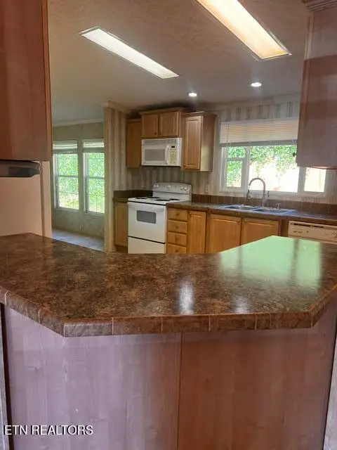 134 Hollow Lane, Caryville, TN 37714 - #3
