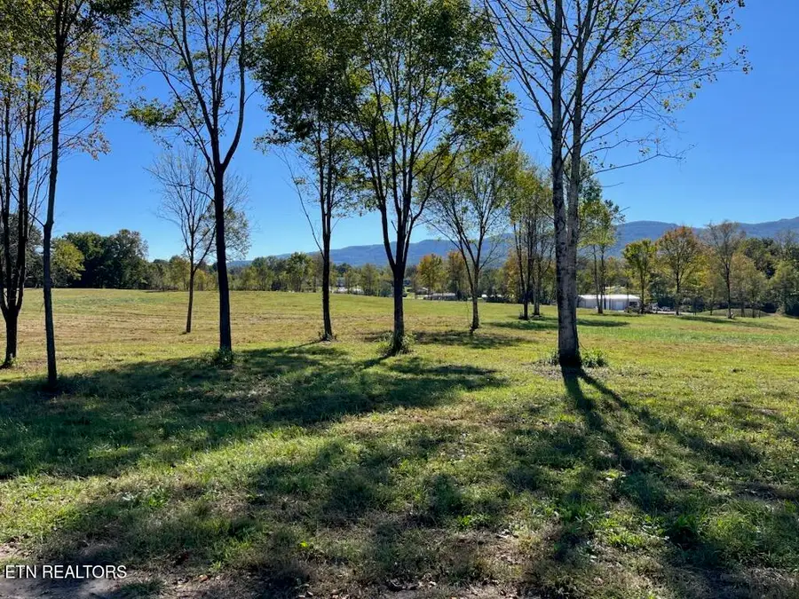 Stone Mill Lot 1 Rd, Jacksboro, TN 37757 - #2