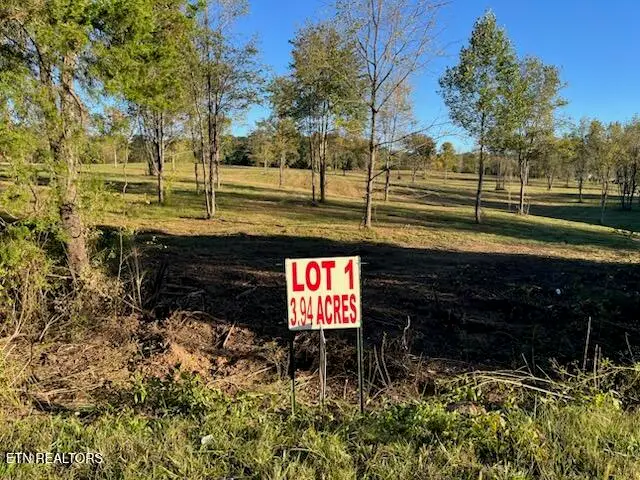Stone Mill Lot 1 Rd, Jacksboro, TN 37757 - #3