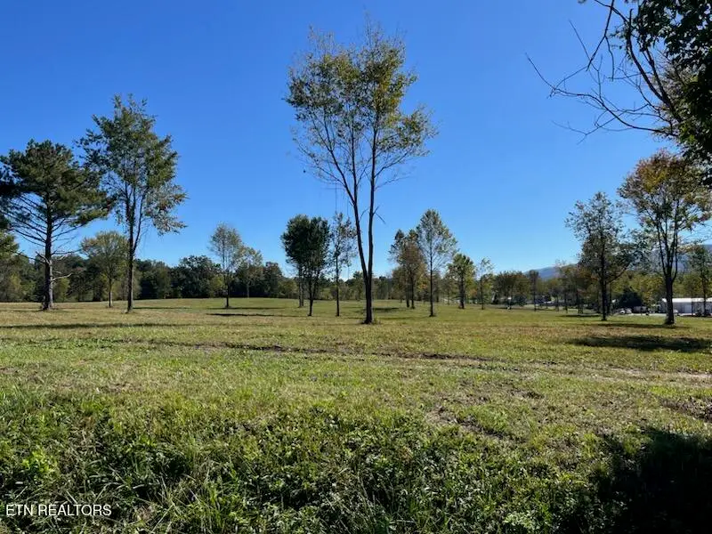 Stone Mill Lot 2 Rd, Jacksboro, TN 37757 - #2