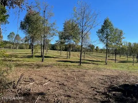 Stone Mill Lot 4 Rd, Jacksboro, TN 37757 - #1