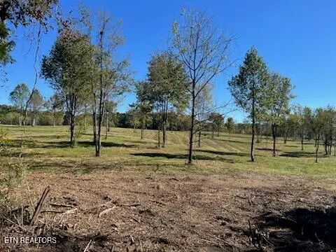 Stone Mill Lot 4 Rd, Jacksboro, TN 37757 - #2