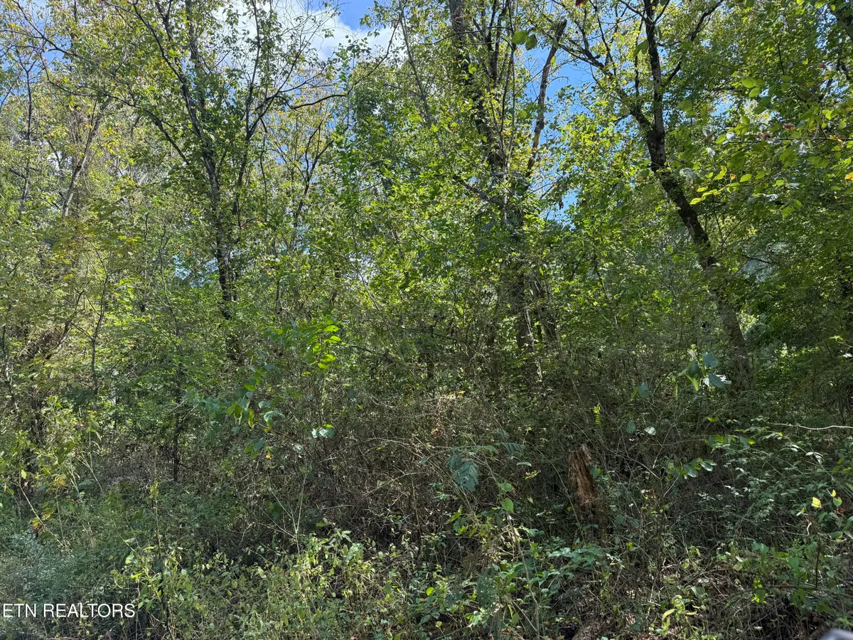 Kenwood Lane, Lafollette, TN 37766 - #1