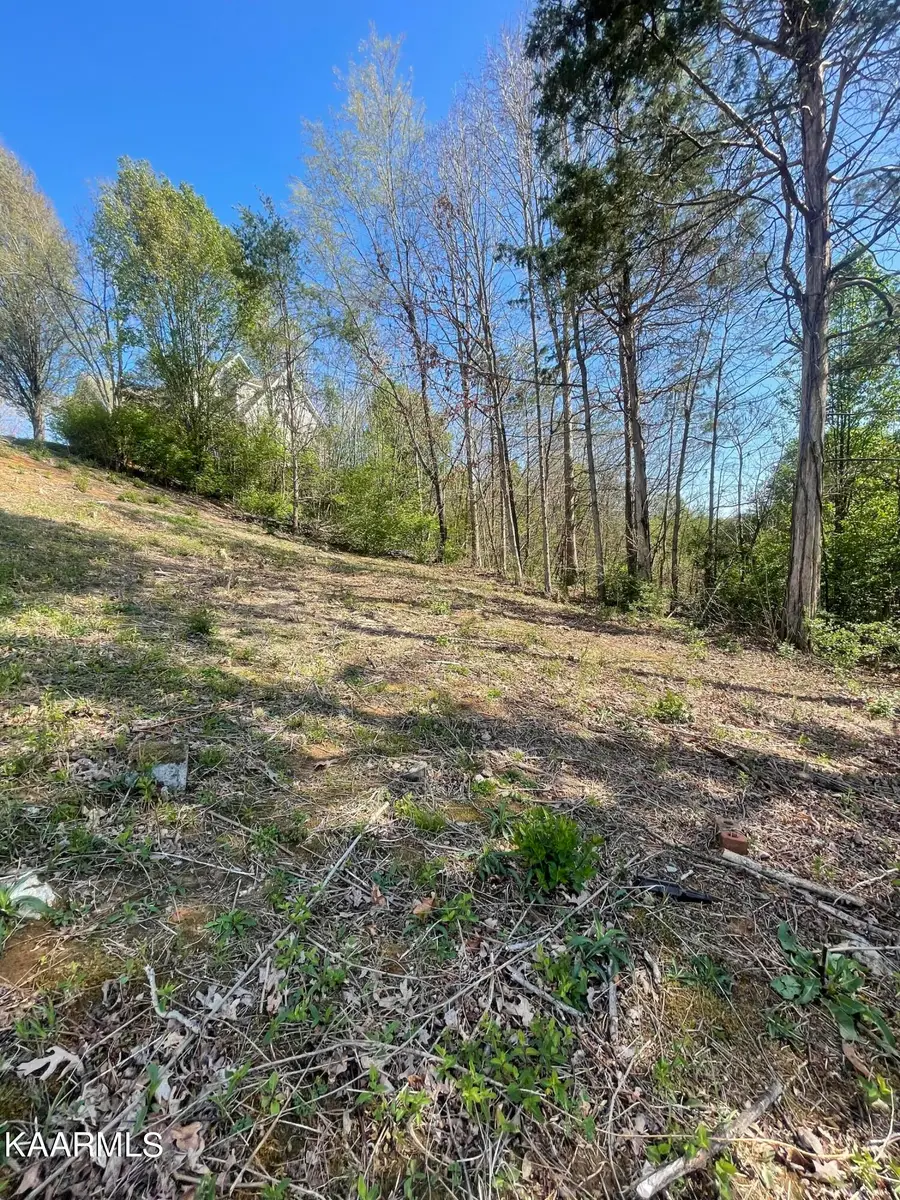 1948 Winter Winds Lane, Knoxville, TN 37909 - #2