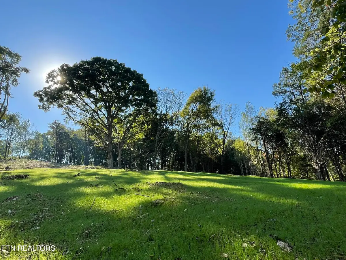 Williams Bend Rd #Lot 1, Knoxville, TN 37932 - #1