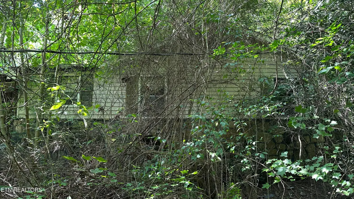 1011 Bazel Rd, Harriman, TN 37748 - #1