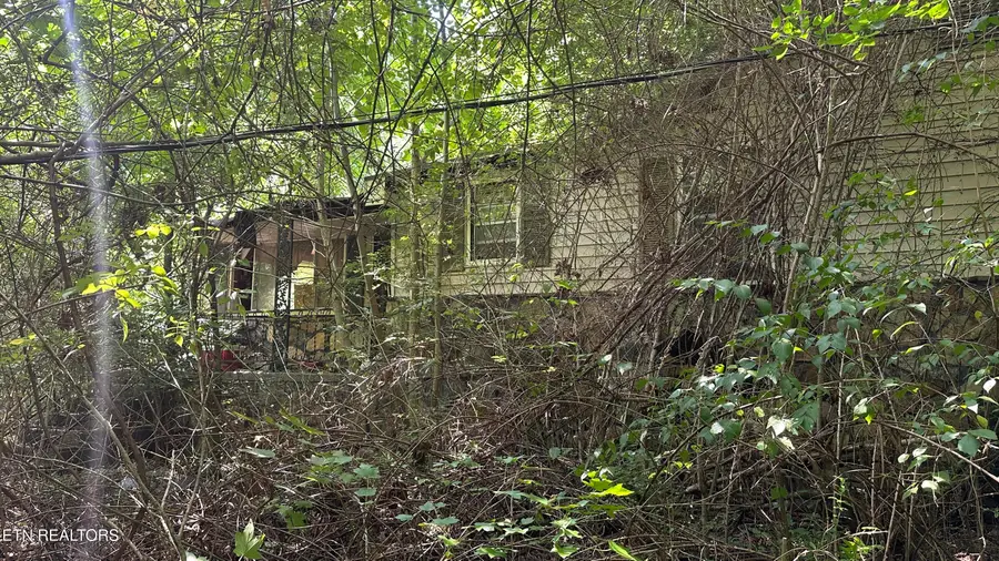 1011 Bazel Rd, Harriman, TN 37748 - #2