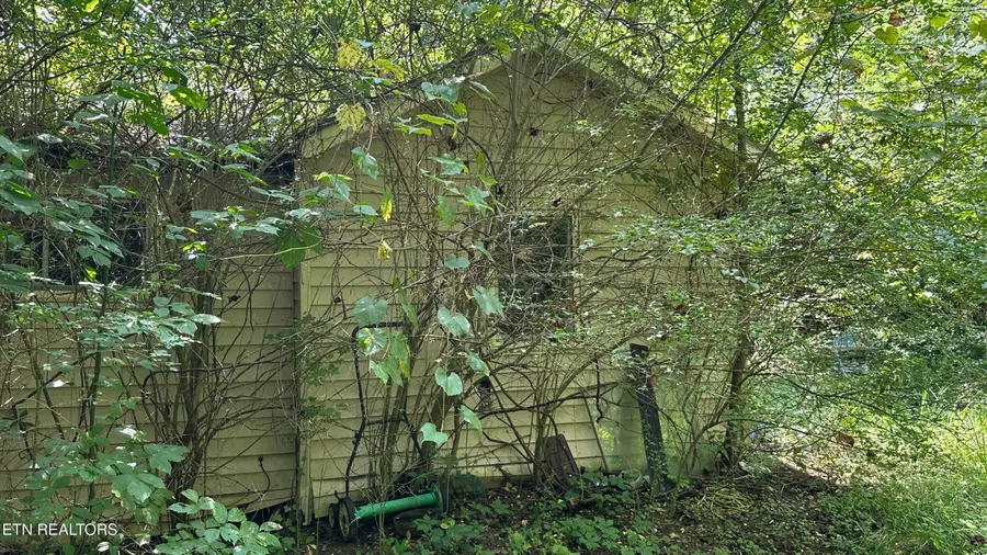 1011 Bazel Rd, Harriman, TN 37748 - #3