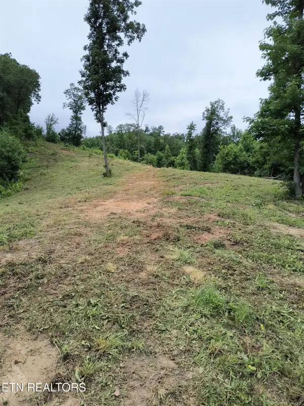 488 Ashe Cabin Hollow Rd, Harriman, TN 37748