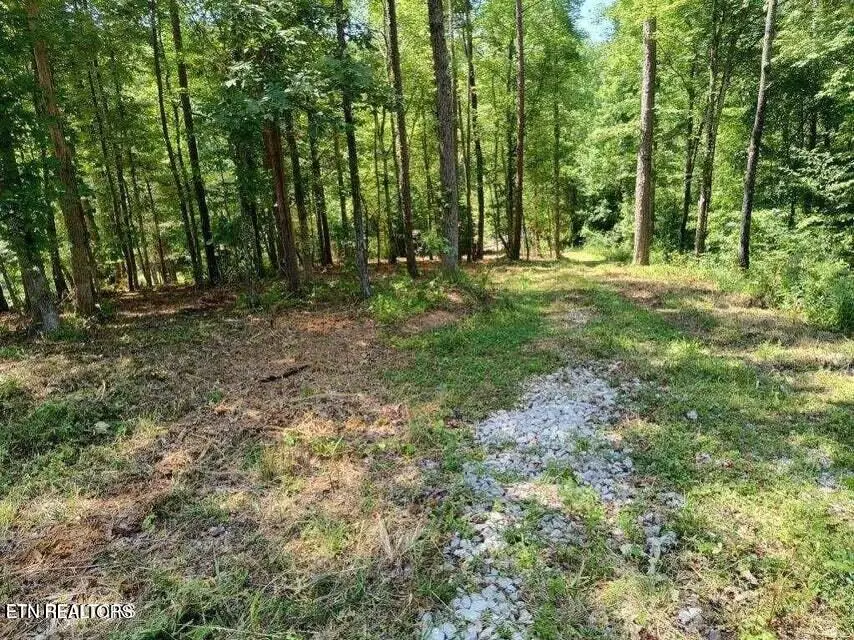 488 Ashe Cabin Hollow Rd, Harriman, TN 37748 - #2