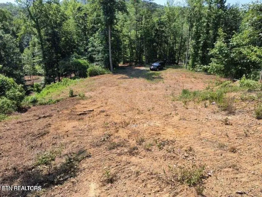488 Ashe Cabin Hollow Rd, Harriman, TN 37748 - #3