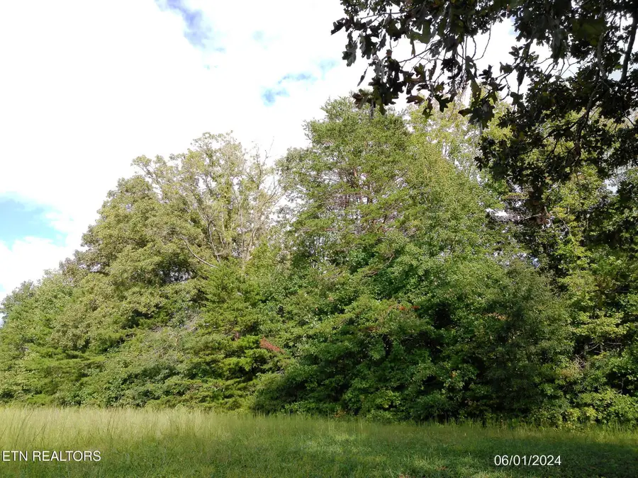 Ridge Rd, Maryville, TN 37803 - #3