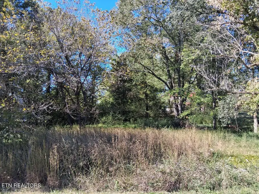 Hood Drive, Kingston, TN 37763 - #2
