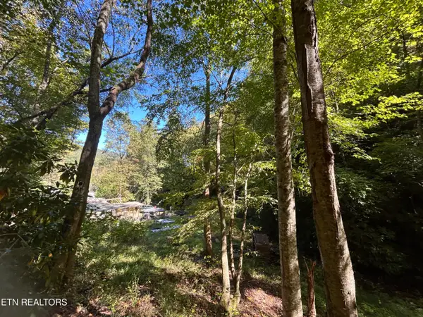 433 Steve Brown Rd, Bean Station, TN 37708