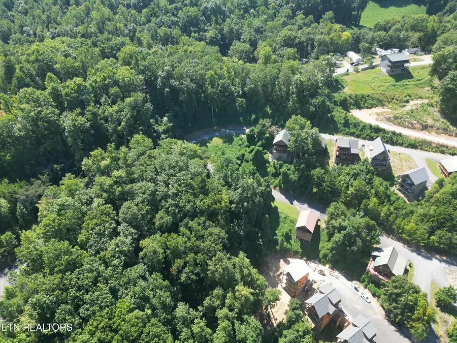 Pine Peak Way, Pigeon Forge, TN 37862 - #3