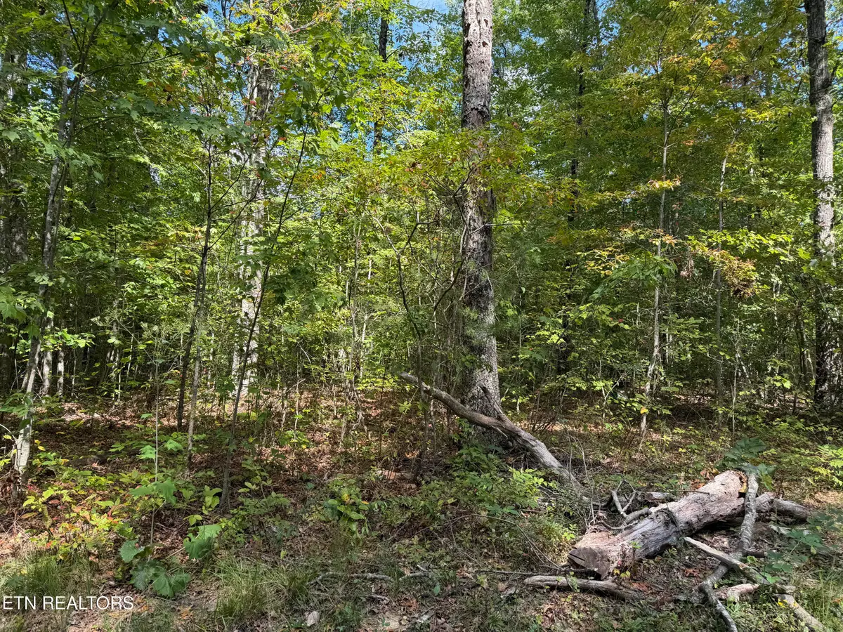 8.06 Ac Horse Creek Rd, Jamestown, TN 38556 - #1