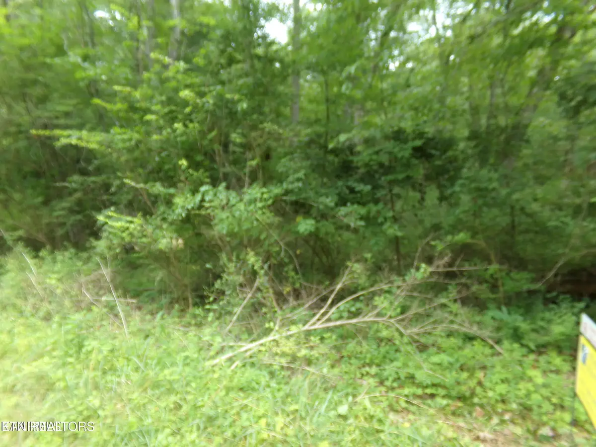 1302 Black Cloud Drive, Crossville, TN 38572 - #1