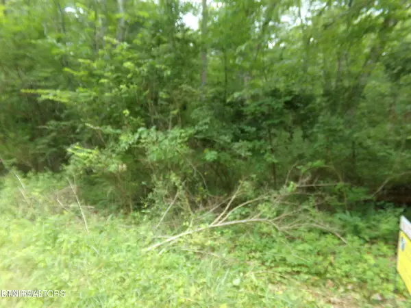 1302 Black Cloud Drive, Crossville, TN 38572